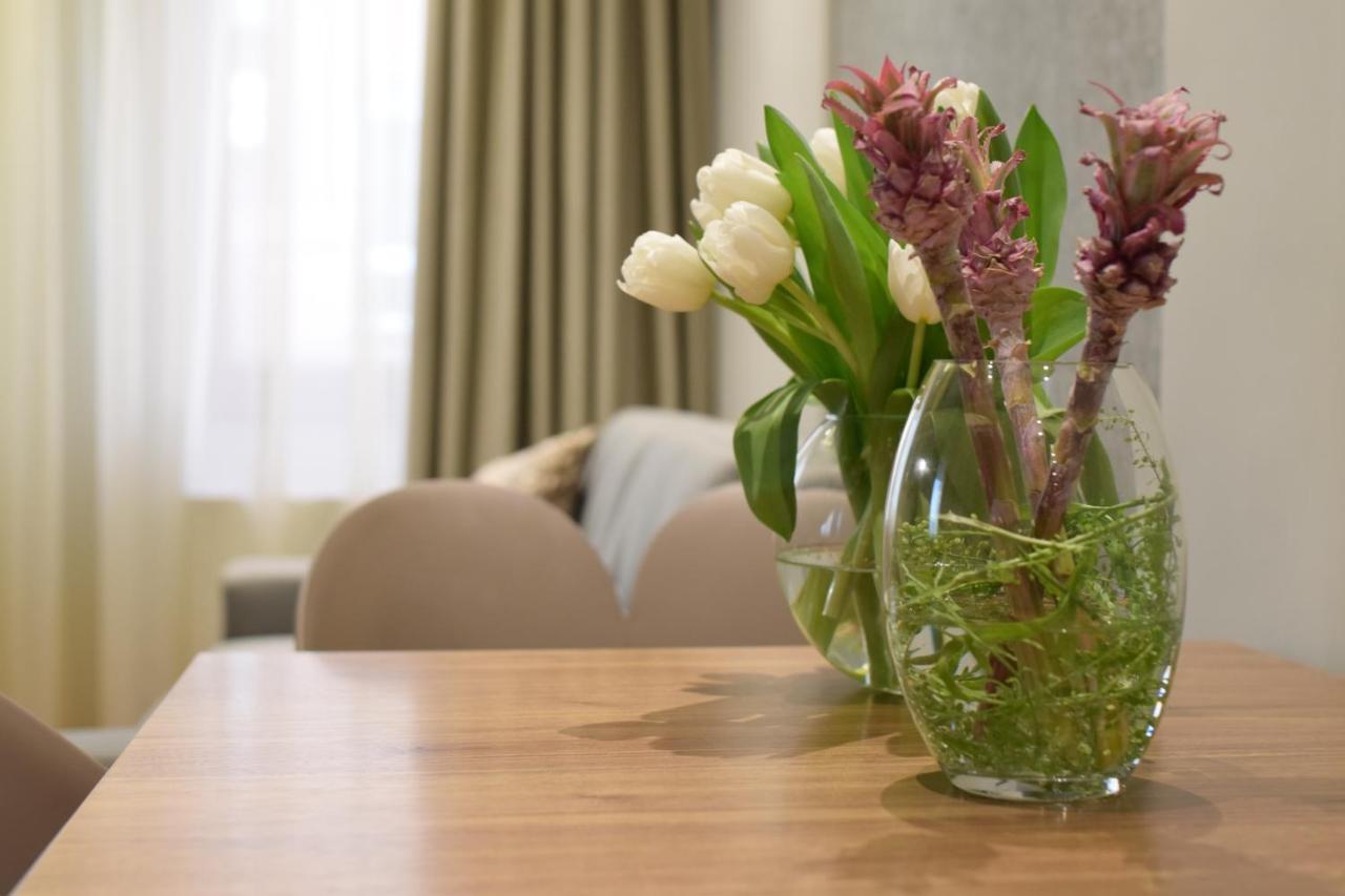 NV Luxury Suites&Spa Belgrade Extérieur photo